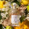 Bergamota de Calabria – Eau de Toilette Bergamota de Calabria – Eau de Toilette
