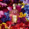 Florabloom – El ritual de perfumes