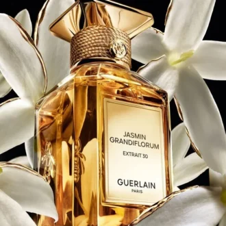Jasmin Grandiflorum Extrait 30 – Extracto