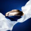 La Crema Ligera Longevidad – el recambio La Crema Ligera Longevidad – el recambio