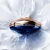 La Crema Rica Longevidad La Crema Rica Longevidad
