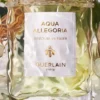 Nerolia Vetiver – Eau de Toilette Nerolia Vetiver – Eau de Toilette