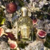 Nerolia Vetiver Forte – Eau de Parfum Nerolia Vetiver Forte – Eau de Parfum