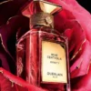 Rose Centifolia Extrait 1 – Extracto