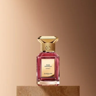 Rose Centifolia Extrait 1 – Extracto